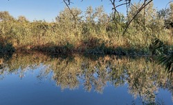 Лиманские полицейские пресекли незаконный вылов рыбы